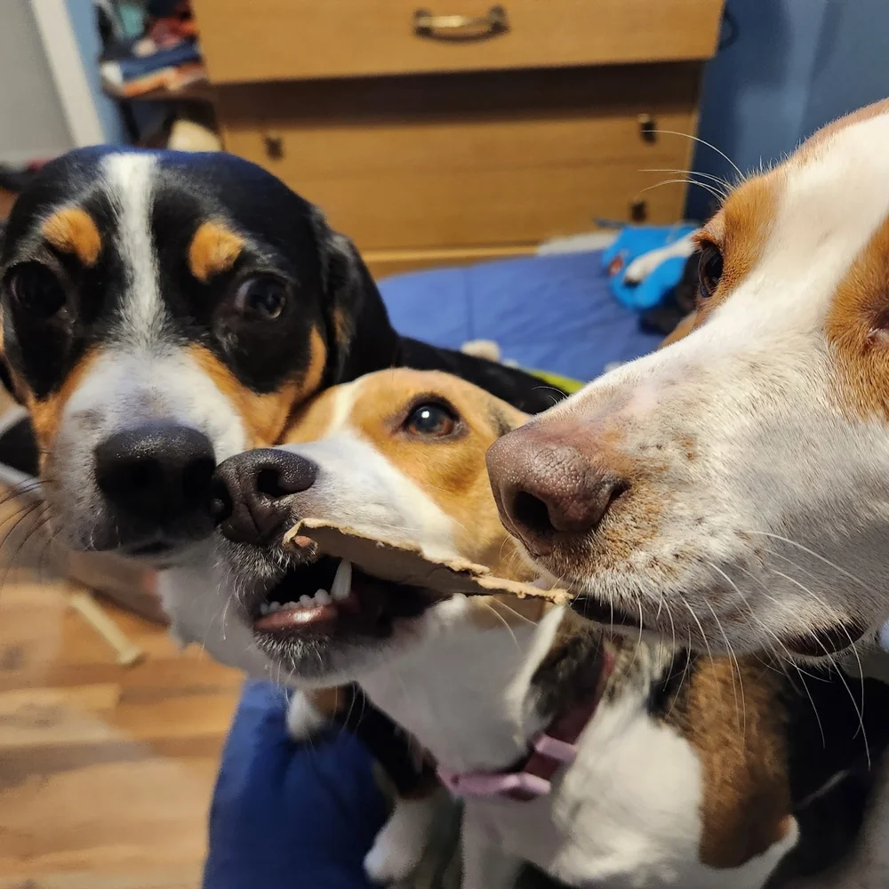 PROCAKE IS LIVE! SOS (SELL OUR SHIIIIIITE) SHOW! - Picture 7 of 16